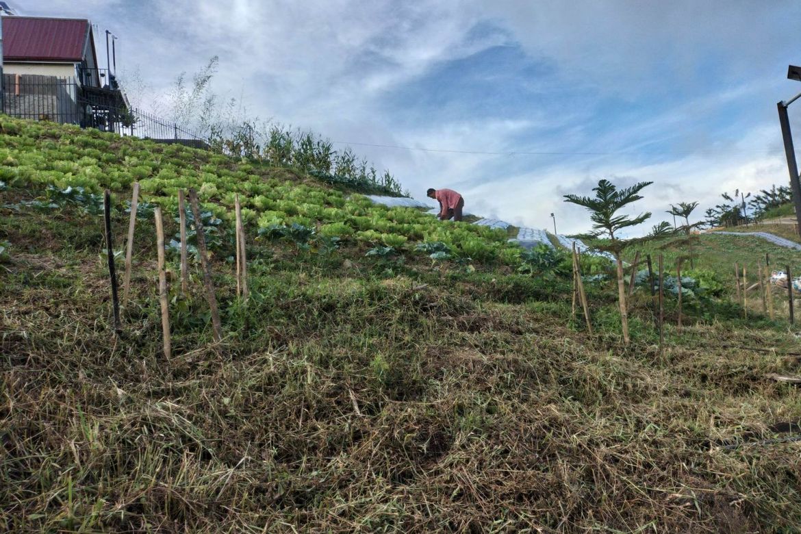 Land for Sale in Lahug, Cebu City, Cebu – photo 4