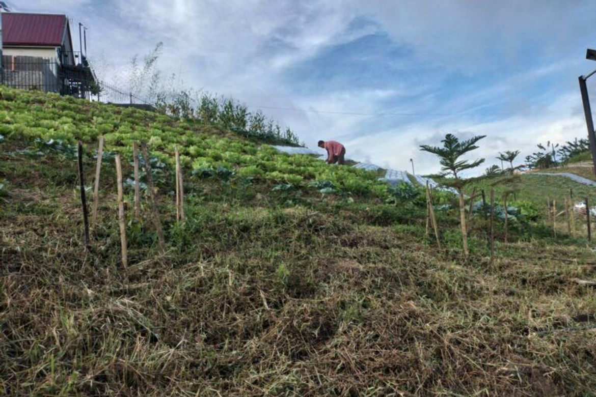 Land for Sale in Lahug, Cebu City, Cebu – photo 5