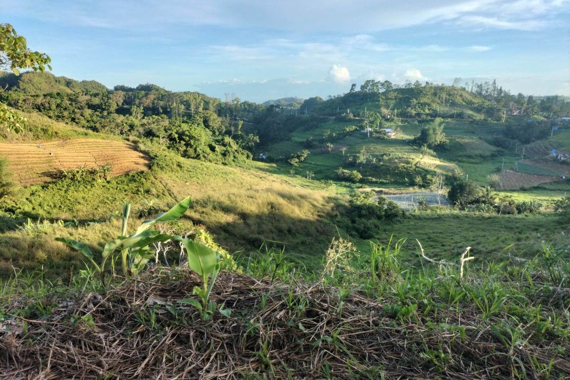 Land for Sale in Lahug, Cebu City, Cebu – photo 8