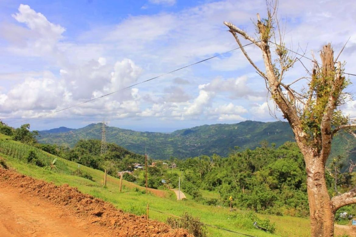 Land for Sale in Lahug, Cebu City, Cebu