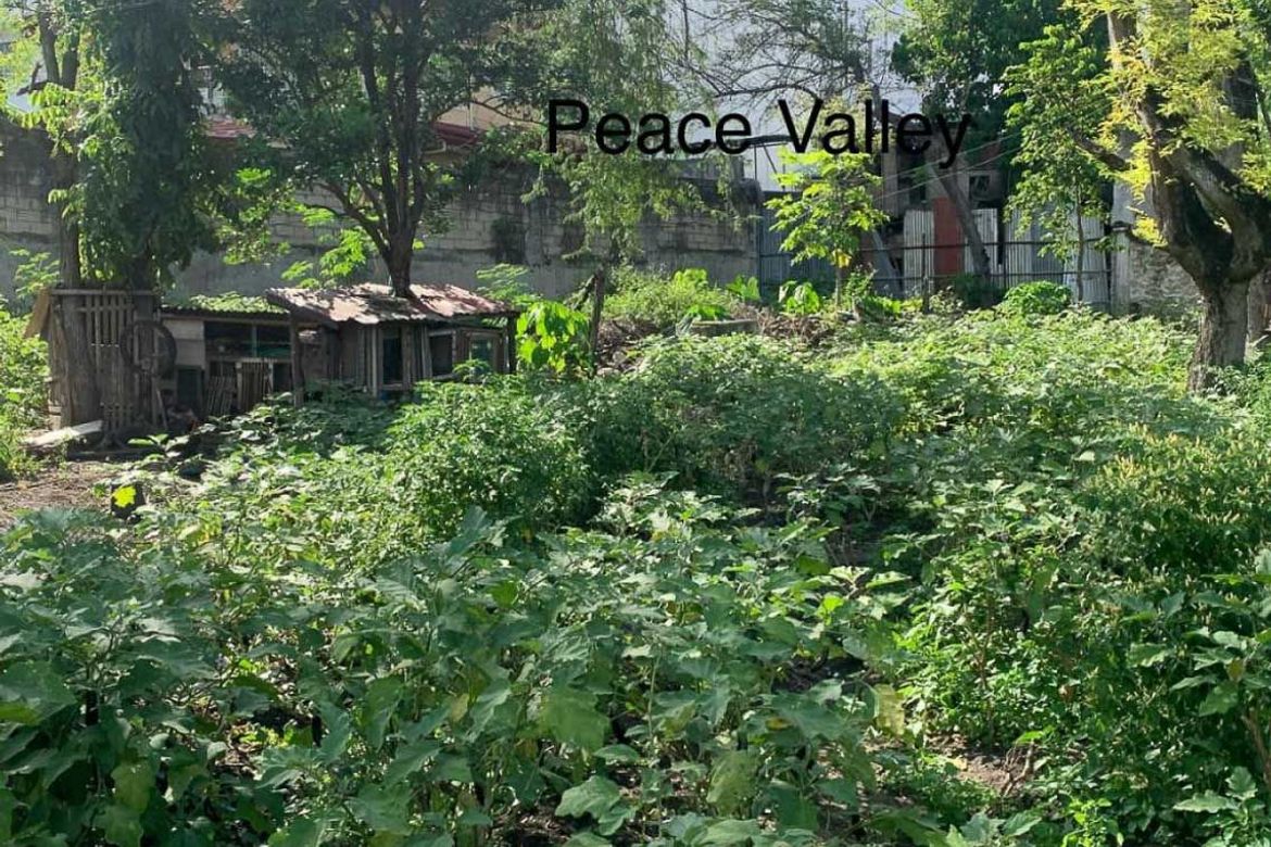 Land for Sale in Lahug, Cebu City, Cebu – photo 2