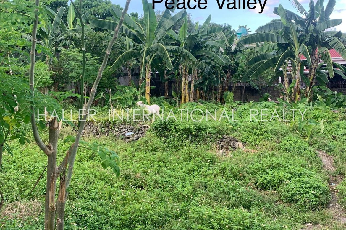 Land for Sale in Lahug, Cebu City, Cebu – photo 7