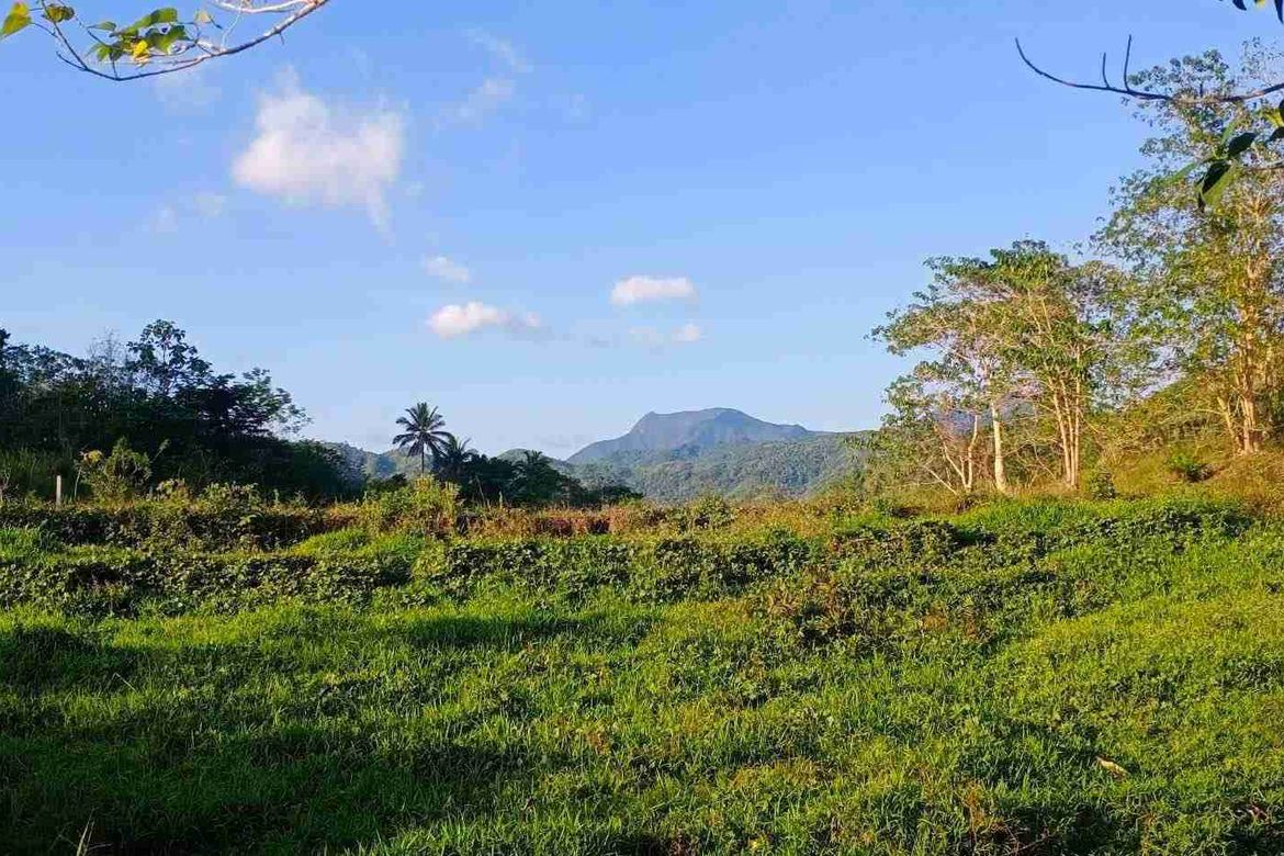 Land for Sale in Laiban, Tanay, Rizal – photo 2