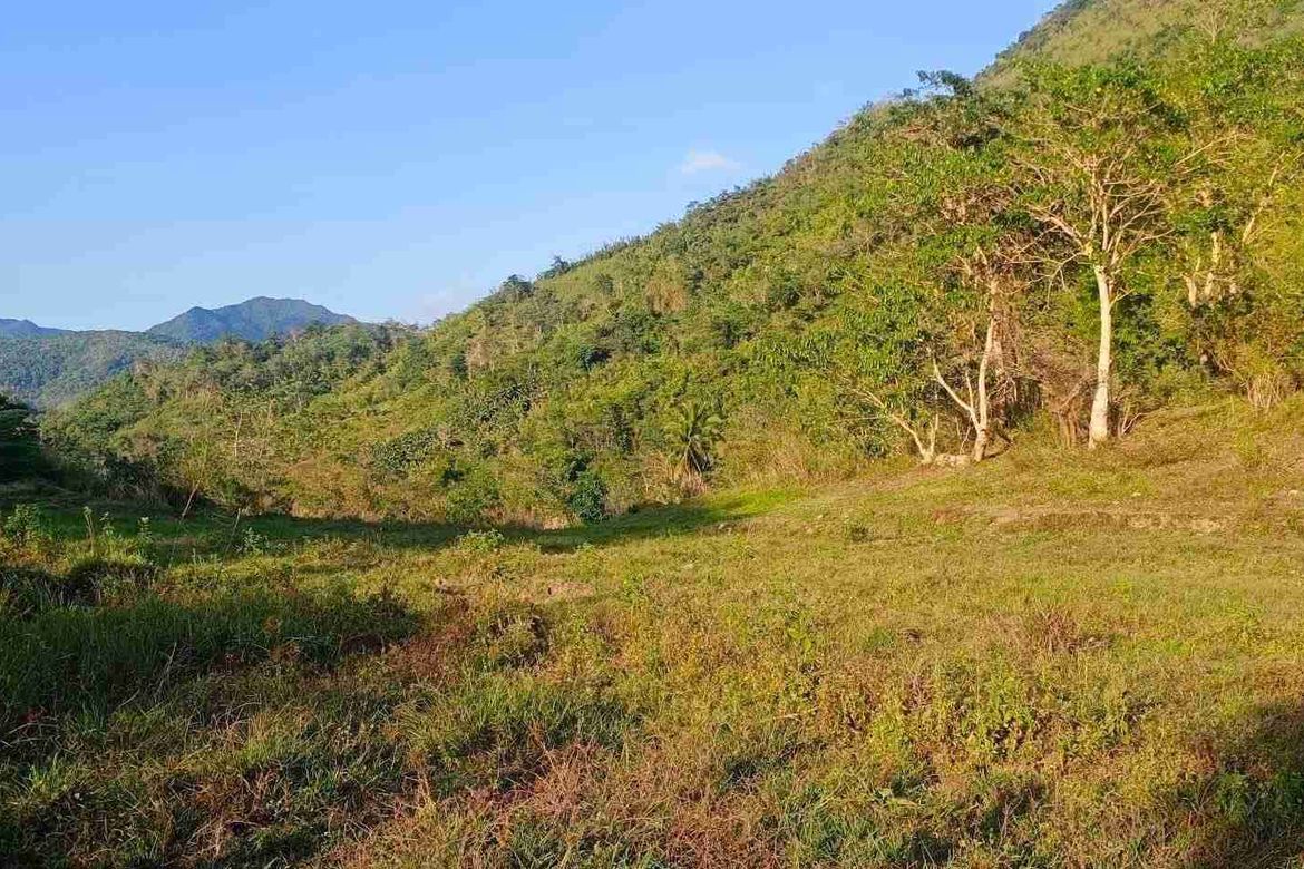 Land for Sale in Laiban, Tanay, Rizal – photo 3