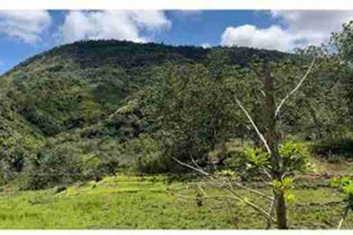 Land for Sale in Laiban, Tanay, Rizal – photo 4
