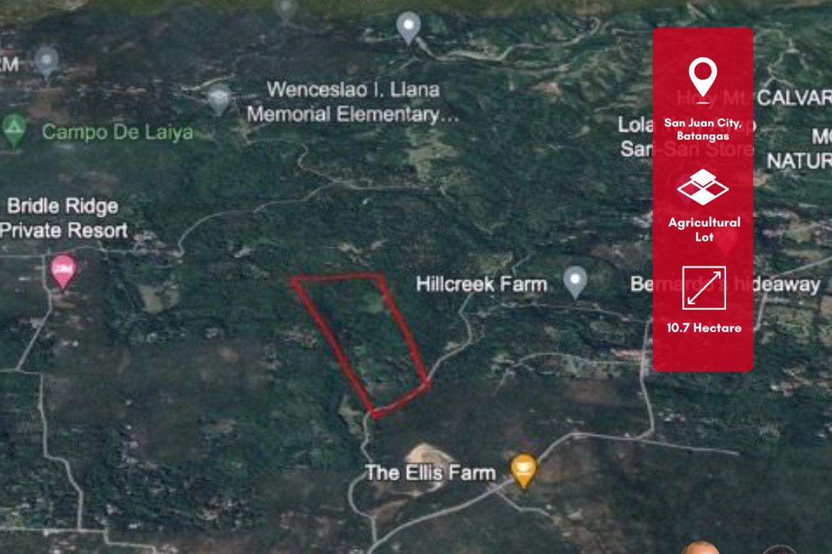Land for Sale in Laiya-Aplaya, San Juan, Batangas