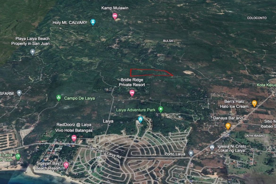 Land for Sale in Laiya-Aplaya, San Juan, Batangas – photo 5