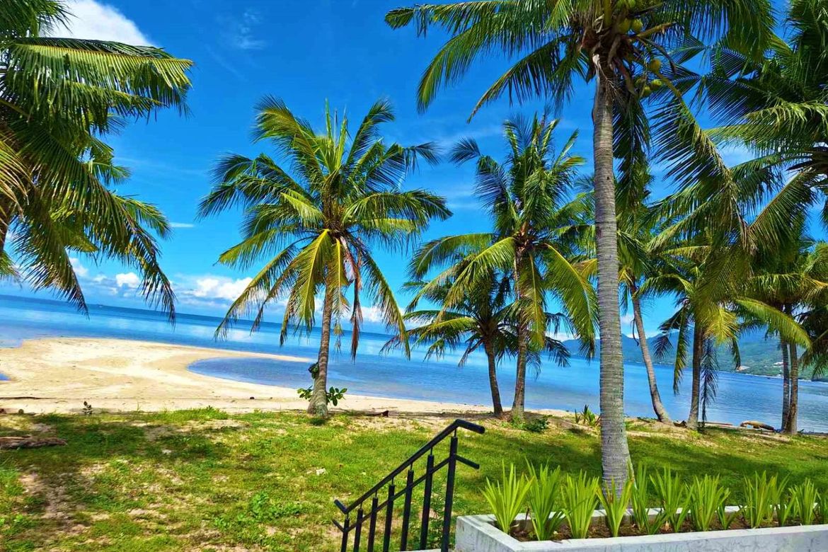 Land for Sale in Laiya-Aplaya, San Juan, Batangas – photo 3