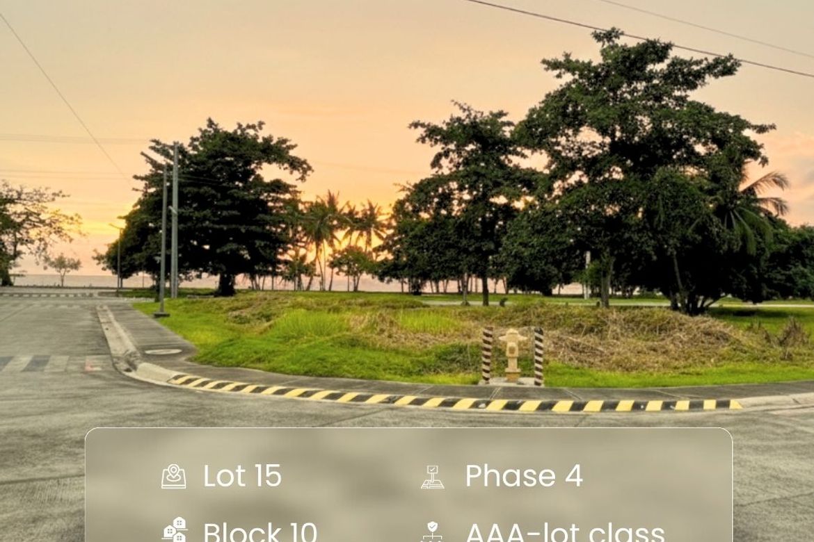 Land for Sale in Laiya-Aplaya, San Juan, Batangas – photo 2
