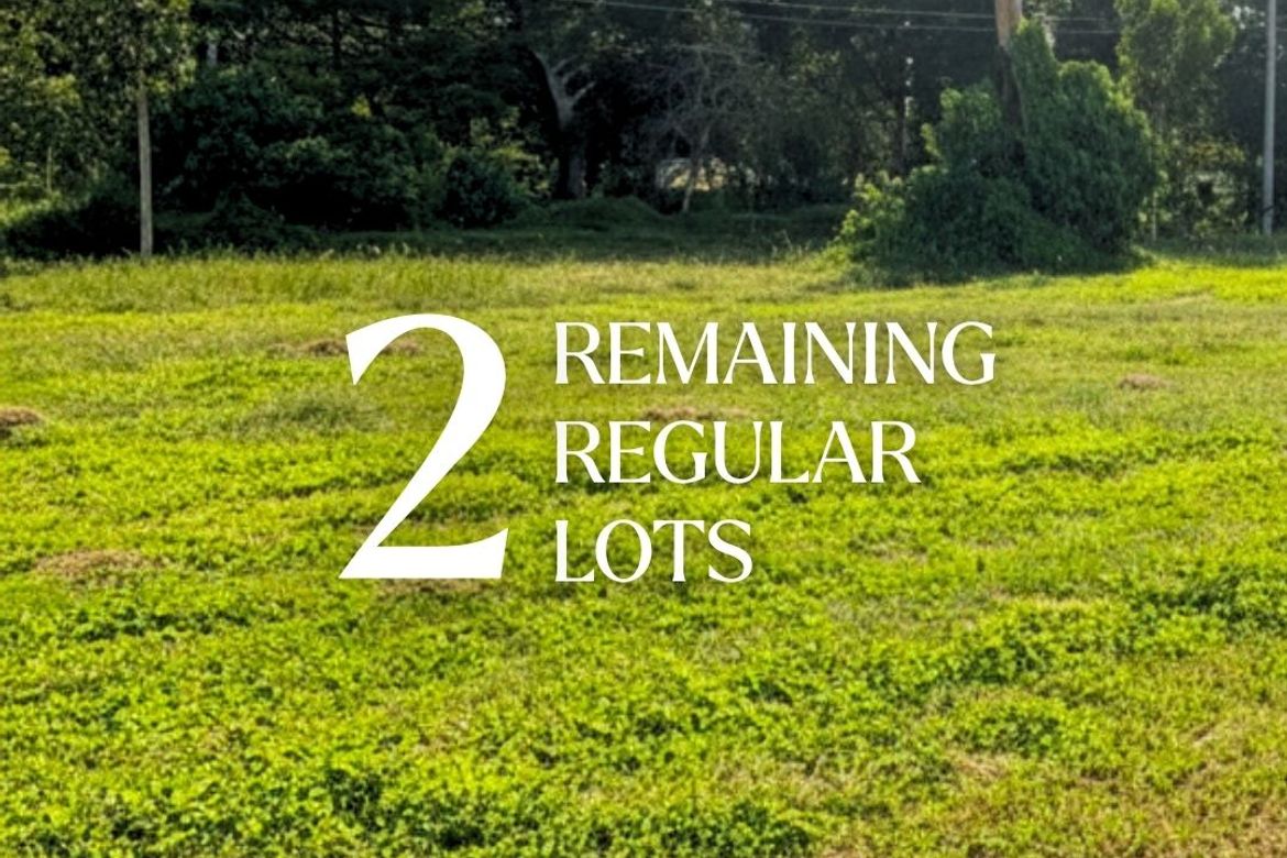 Land for Sale in Laiya-Aplaya, San Juan, Batangas – photo 4