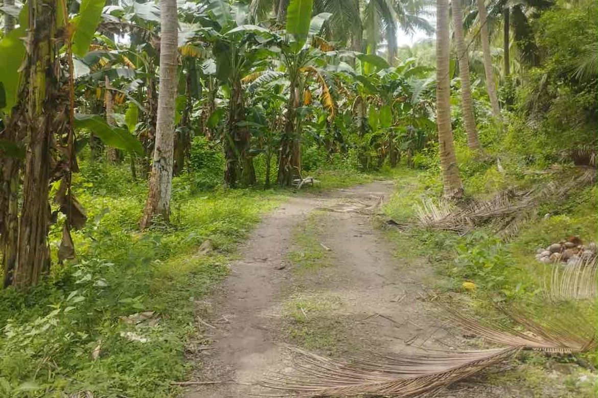 Land for Sale in Laiya-Aplaya, San Juan, Batangas – photo 5