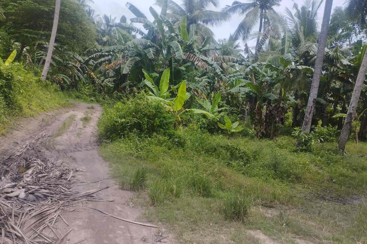 Land for Sale in Laiya-Aplaya, San Juan, Batangas – photo 6