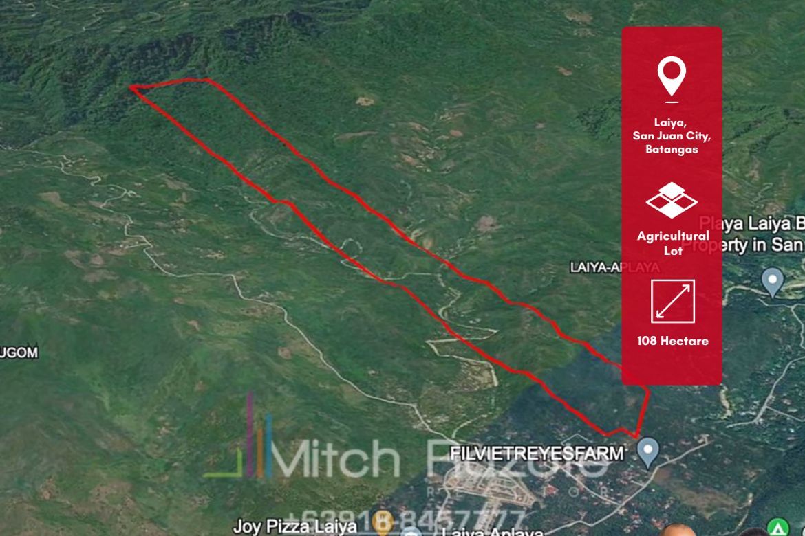 Land for Sale in Laiya-Aplaya, San Juan, Batangas