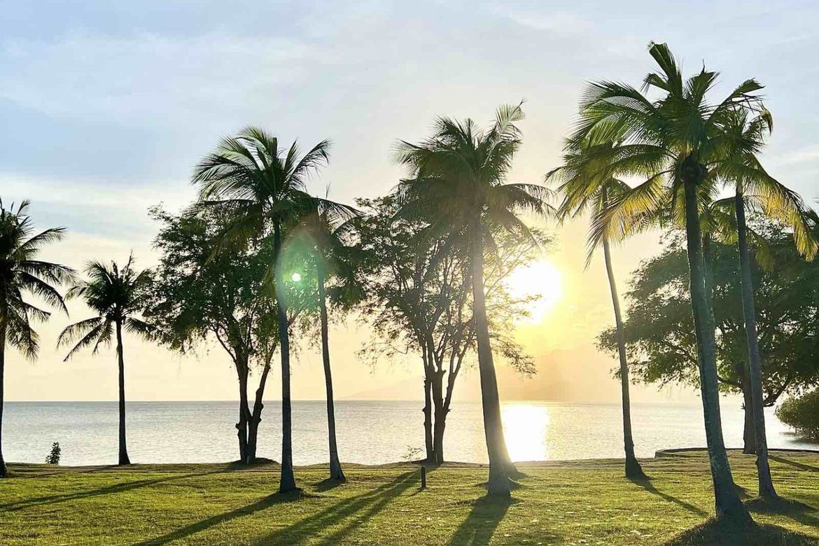 Land for Sale in Laiya-Ibabao, San Juan, Batangas