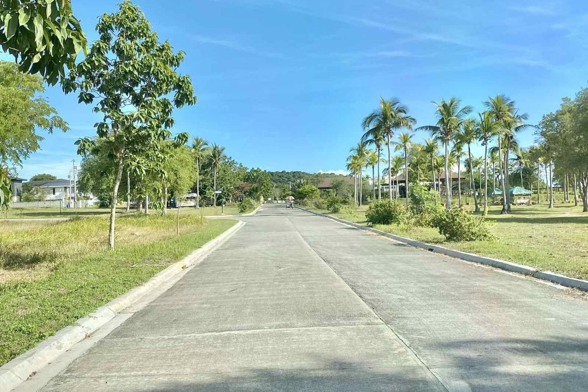 Land for Sale in Laiya-Ibabao, San Juan, Batangas – photo 4