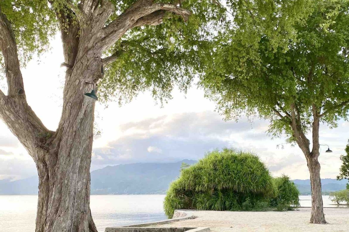 Land for Sale in Laiya-Ibabao, San Juan, Batangas – photo 5