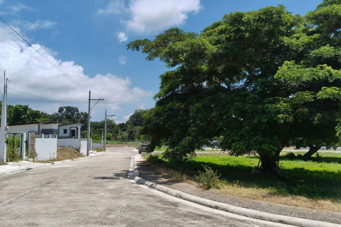 Land for Sale in Laiya-Ibabao, San Juan, Batangas – photo 4