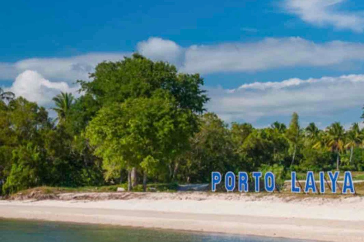Land for Sale in Laiya-Ibabao, San Juan, Batangas – photo 2