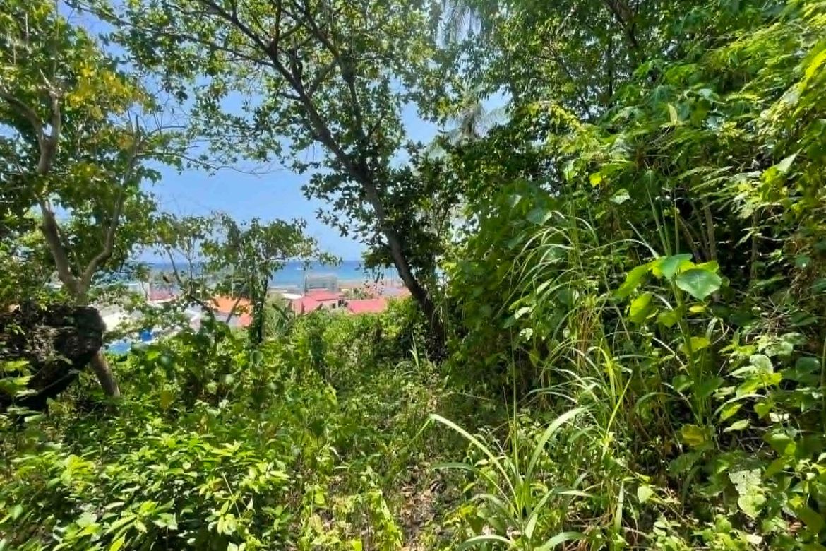 Land for Sale in Lala-O, San Juan, Siquijor – photo 2