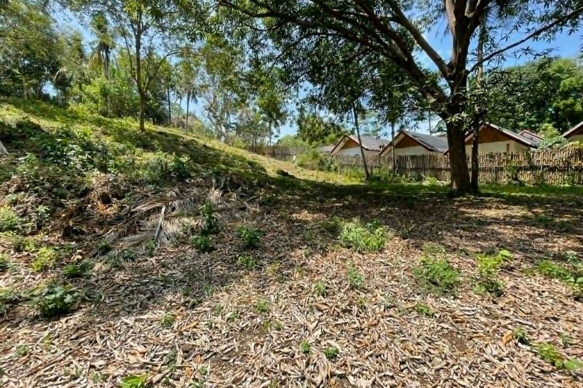 Land for Sale in Lala-O, San Juan, Siquijor – photo 3
