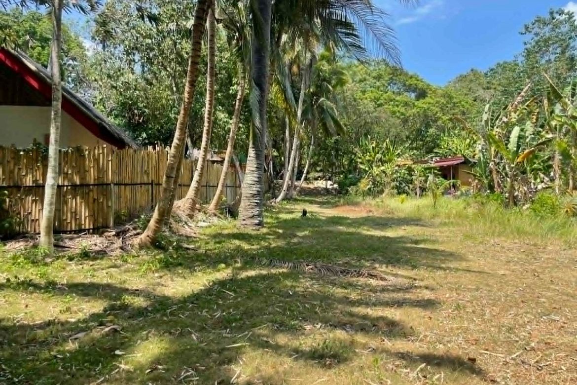 Land for Sale in Lala-O, San Juan, Siquijor – photo 4