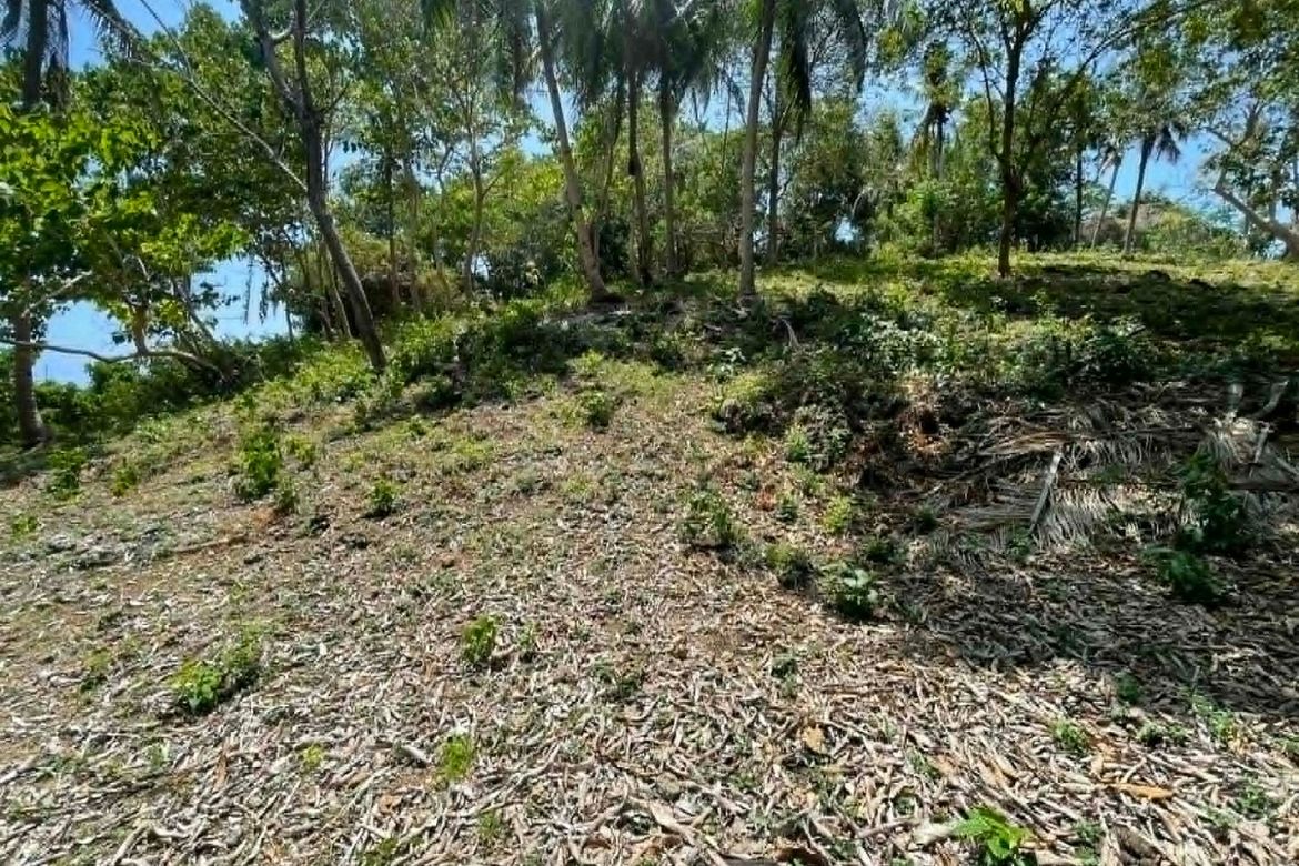 Land for Sale in Lala-O, San Juan, Siquijor – photo 6
