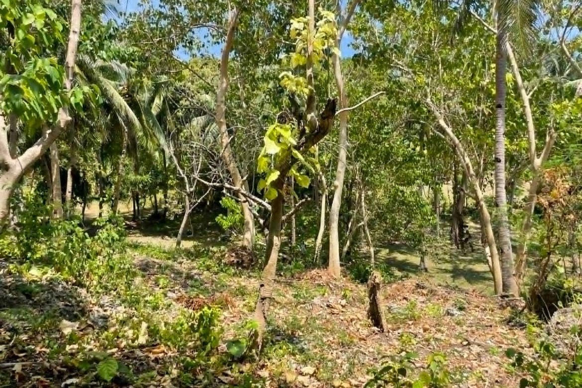 Land for Sale in Lala-O, San Juan, Siquijor – photo 7