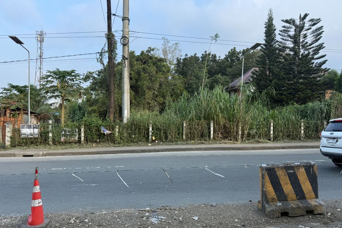 Land for Sale in Lalaan I, Silang, Cavite – photo 2