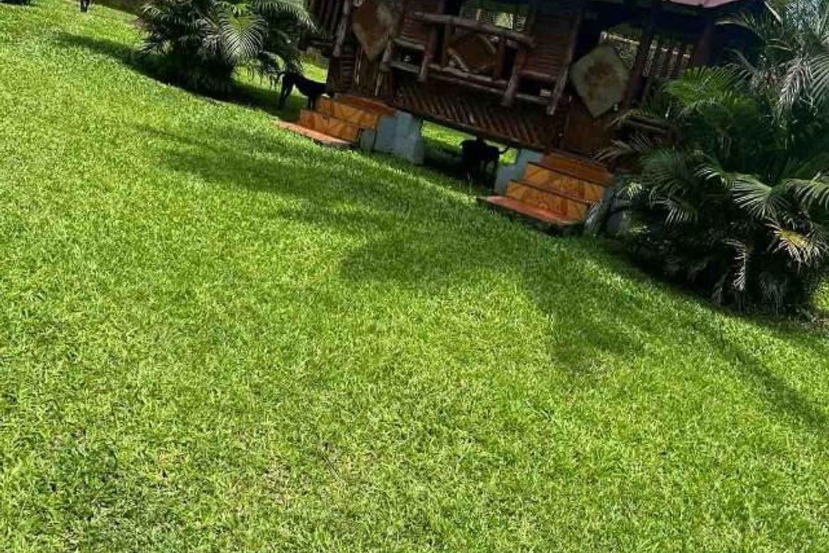 Land for Sale in Lalaan I, Silang, Cavite – photo 3