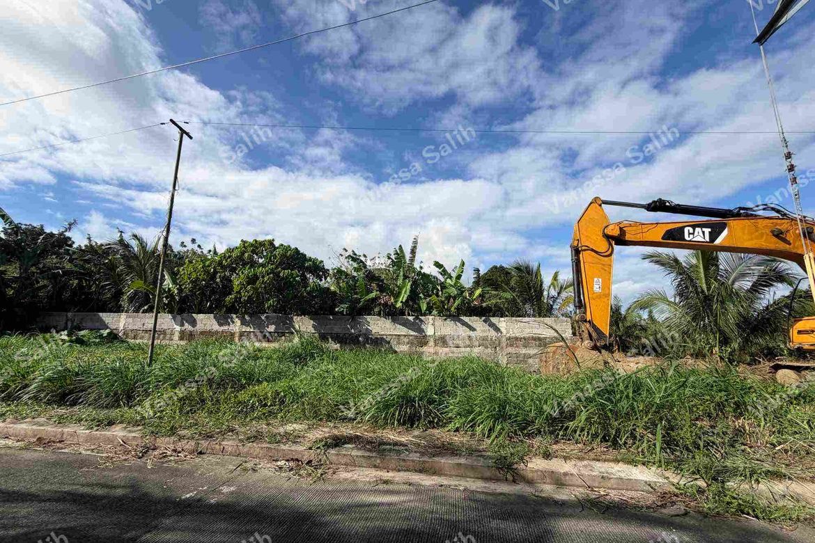 Land for Sale in Lalaan II, Silang, Cavite – photo 3