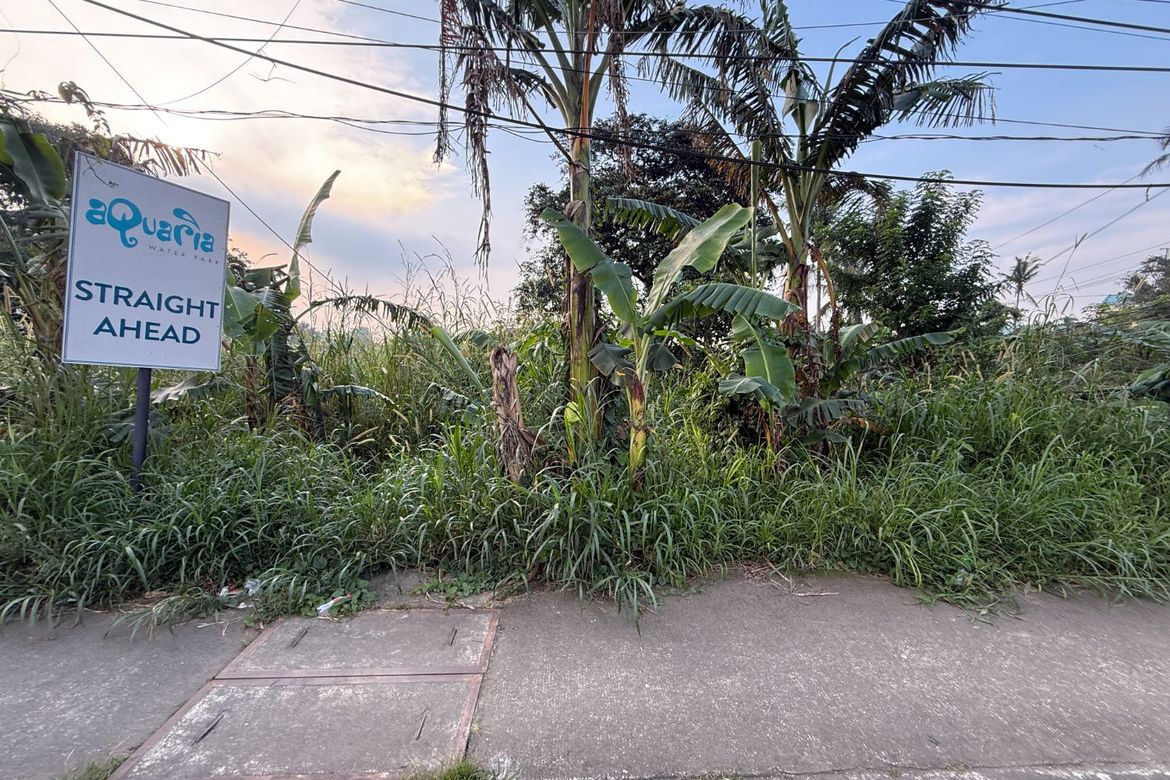Land for Sale in Lalaan II, Silang, Cavite – photo 2