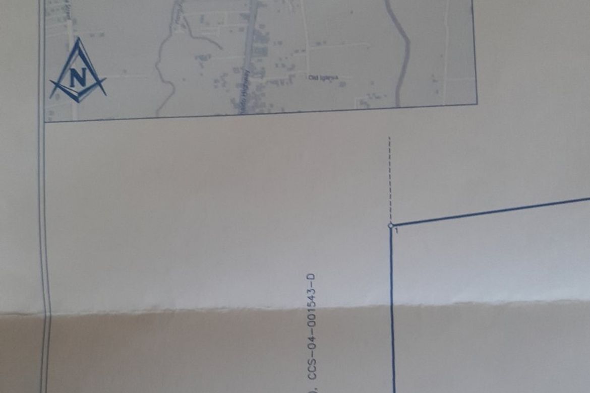 Land for Sale in Lalaan II, Silang, Cavite – photo 3