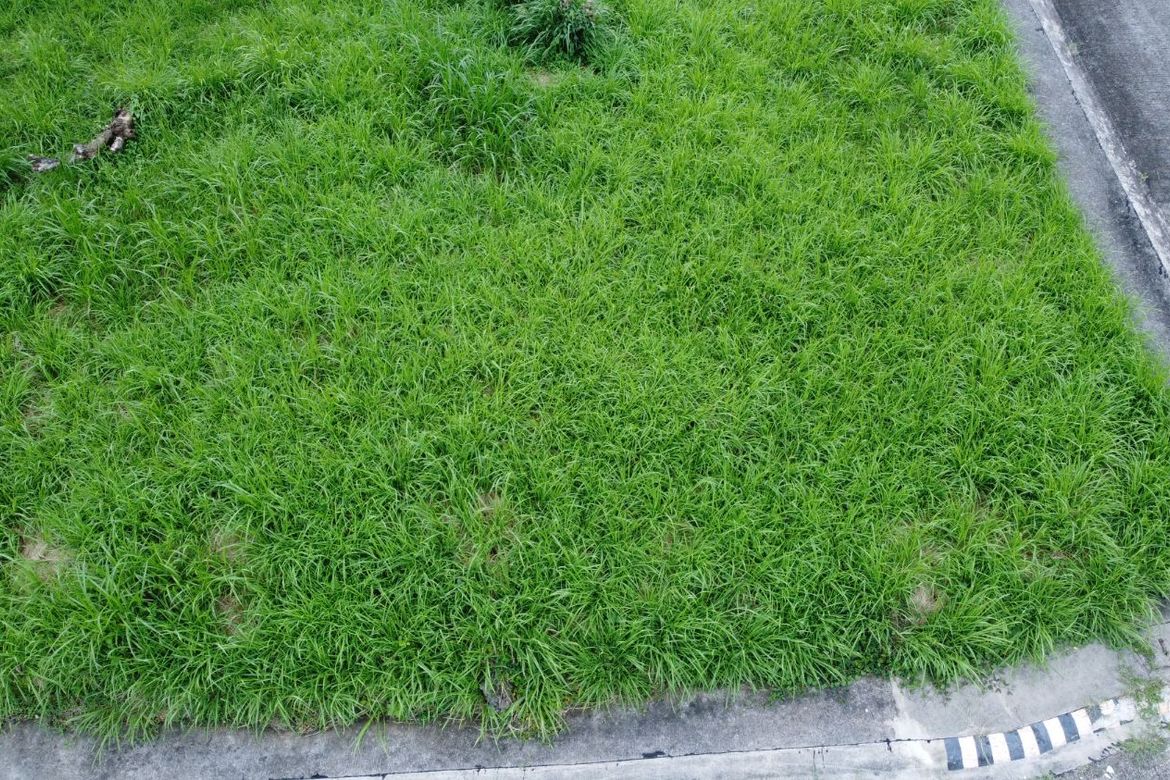 Land for Sale in Lalaan II, Silang, Cavite – photo 2