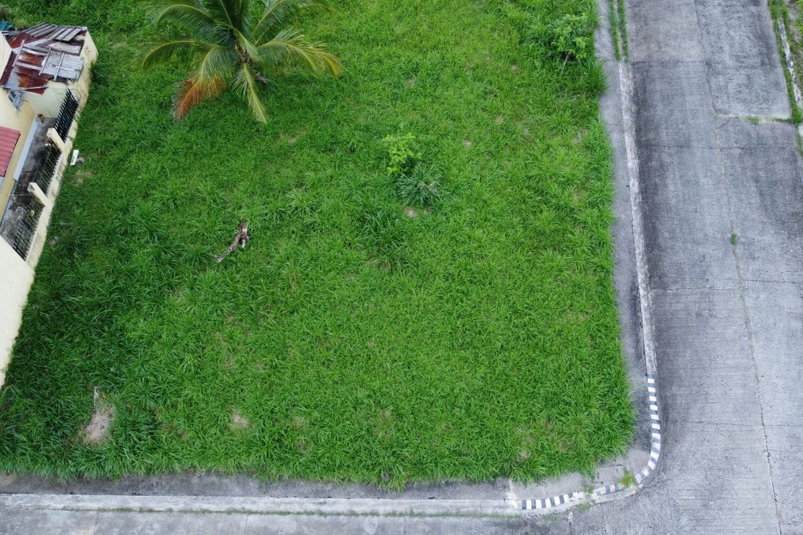 Land for Sale in Lalaan II, Silang, Cavite – photo 3