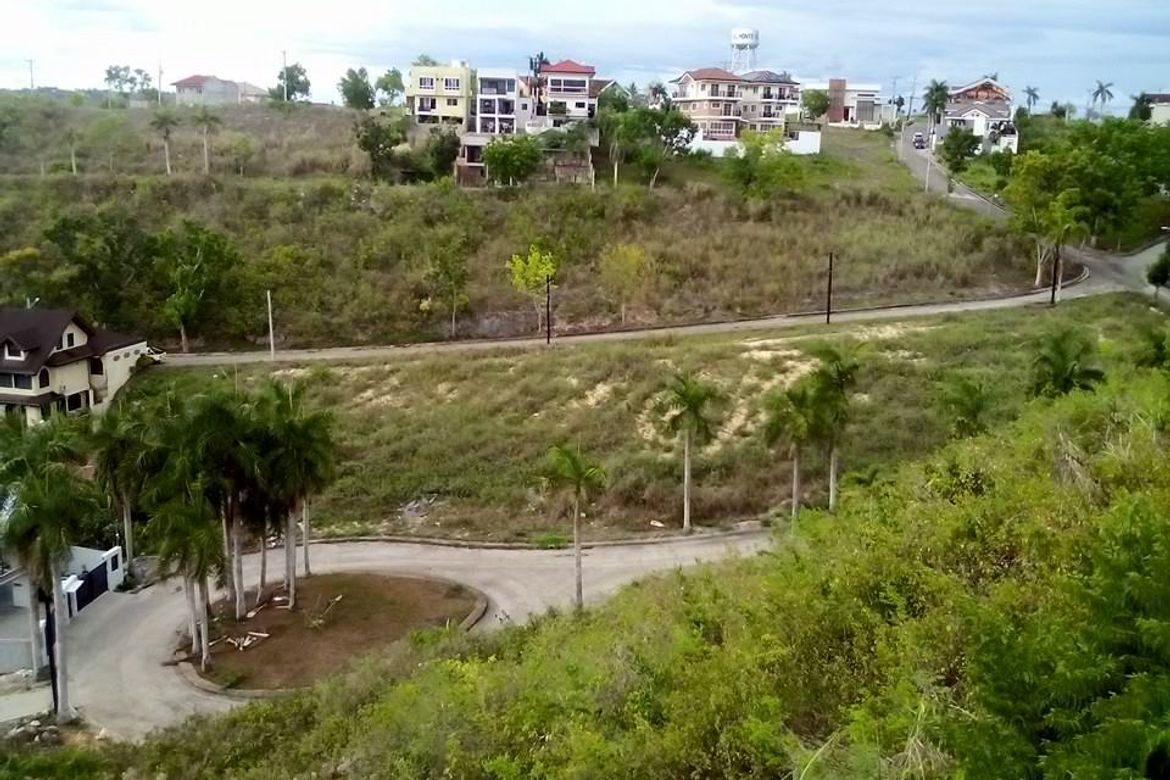 Land for Sale in Lamac, Consolacion, Cebu – photo 8