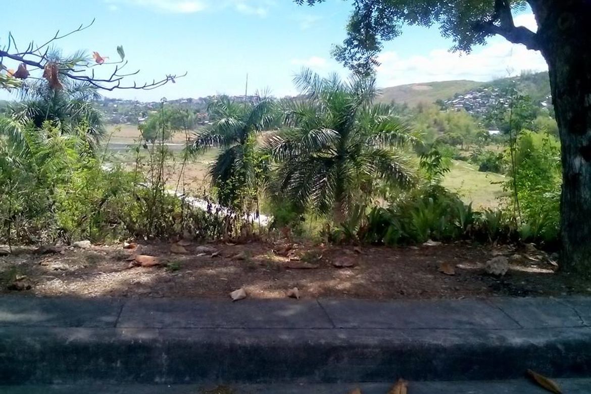 Land for Sale in Lamac, Consolacion, Cebu – photo 6