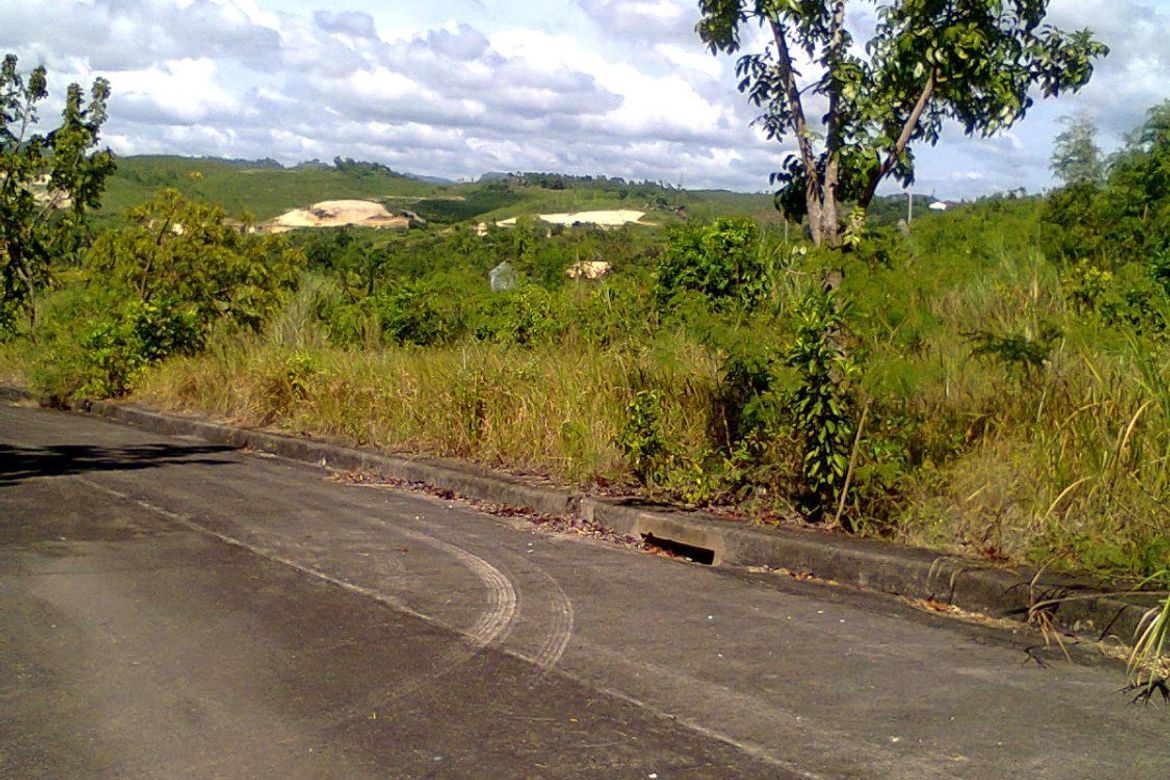 Land for Sale in Lamac, Consolacion, Cebu – photo 7