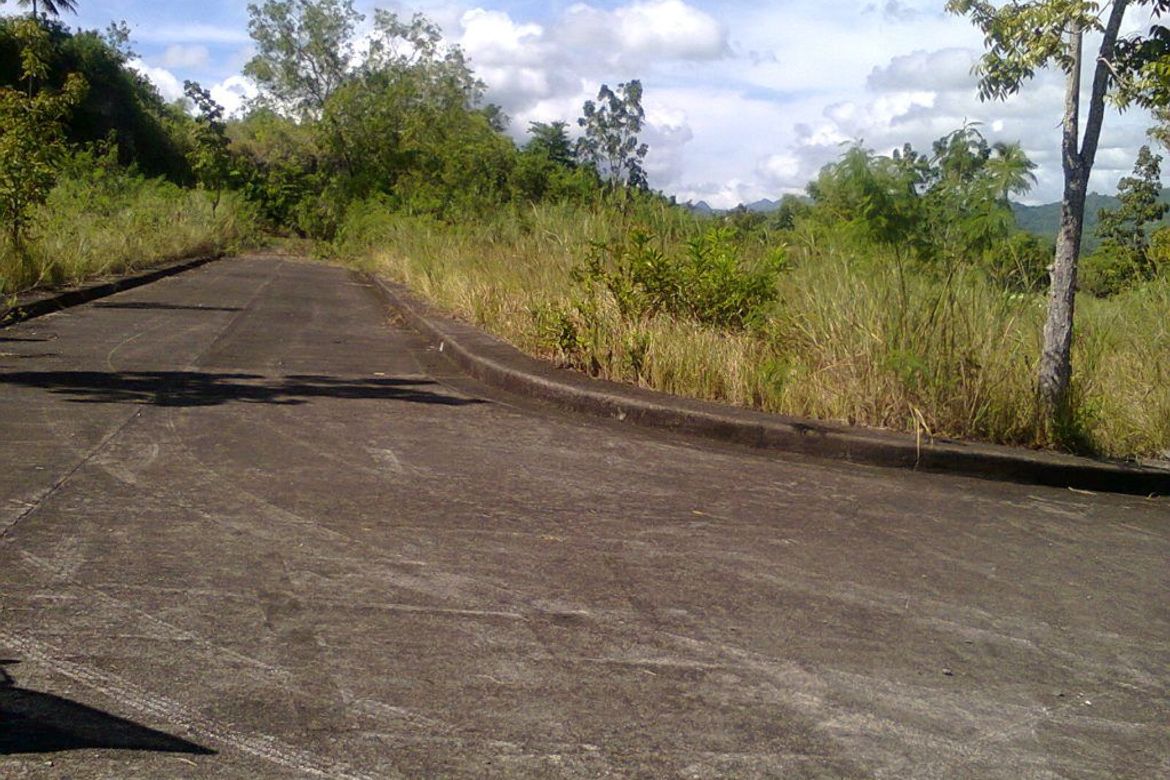 Land for Sale in Lamac, Consolacion, Cebu – photo 8