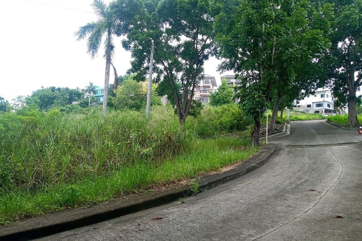 Land for Sale in Lamac, Consolacion, Cebu – photo 2