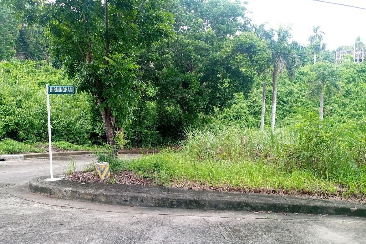 Land for Sale in Lamac, Consolacion, Cebu – photo 4