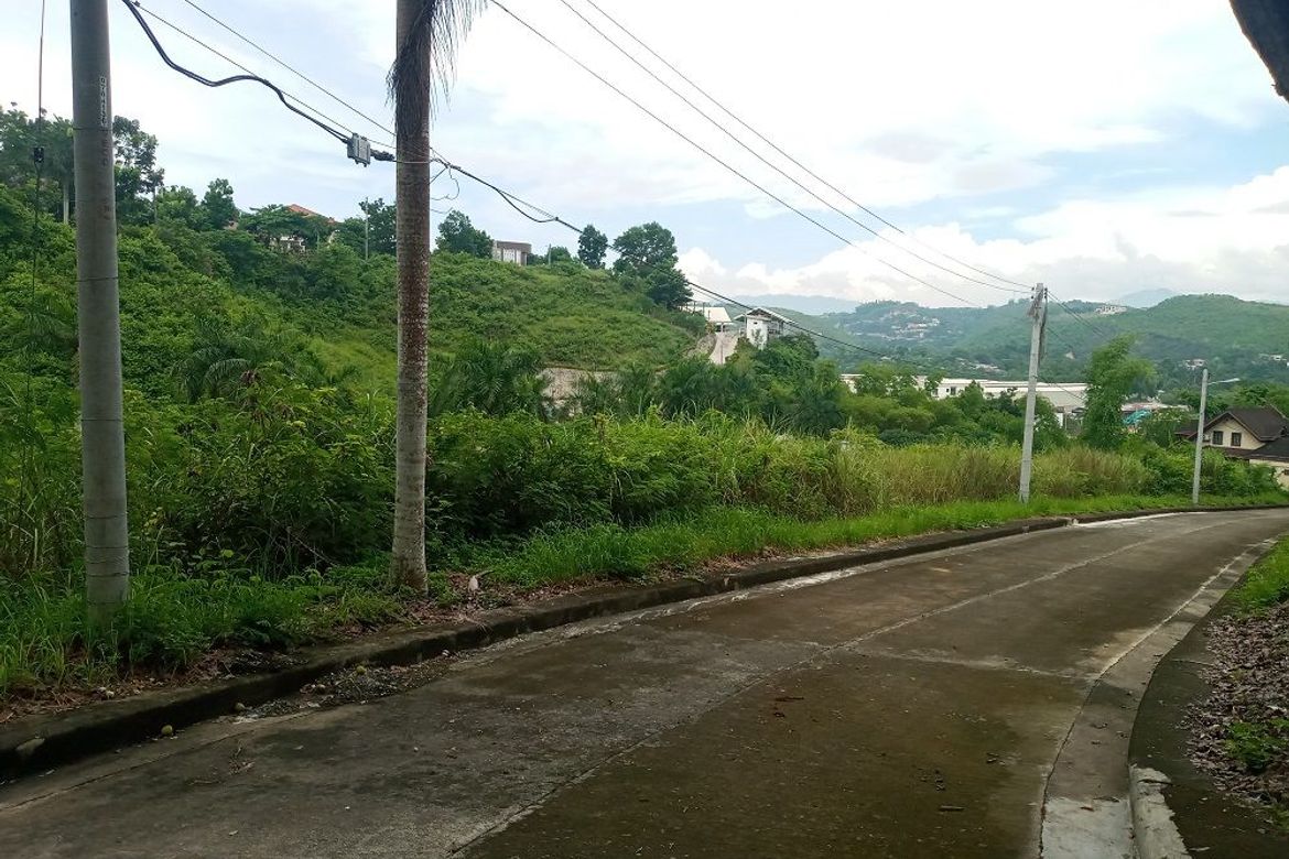 Land for Sale in Lamac, Consolacion, Cebu – photo 5