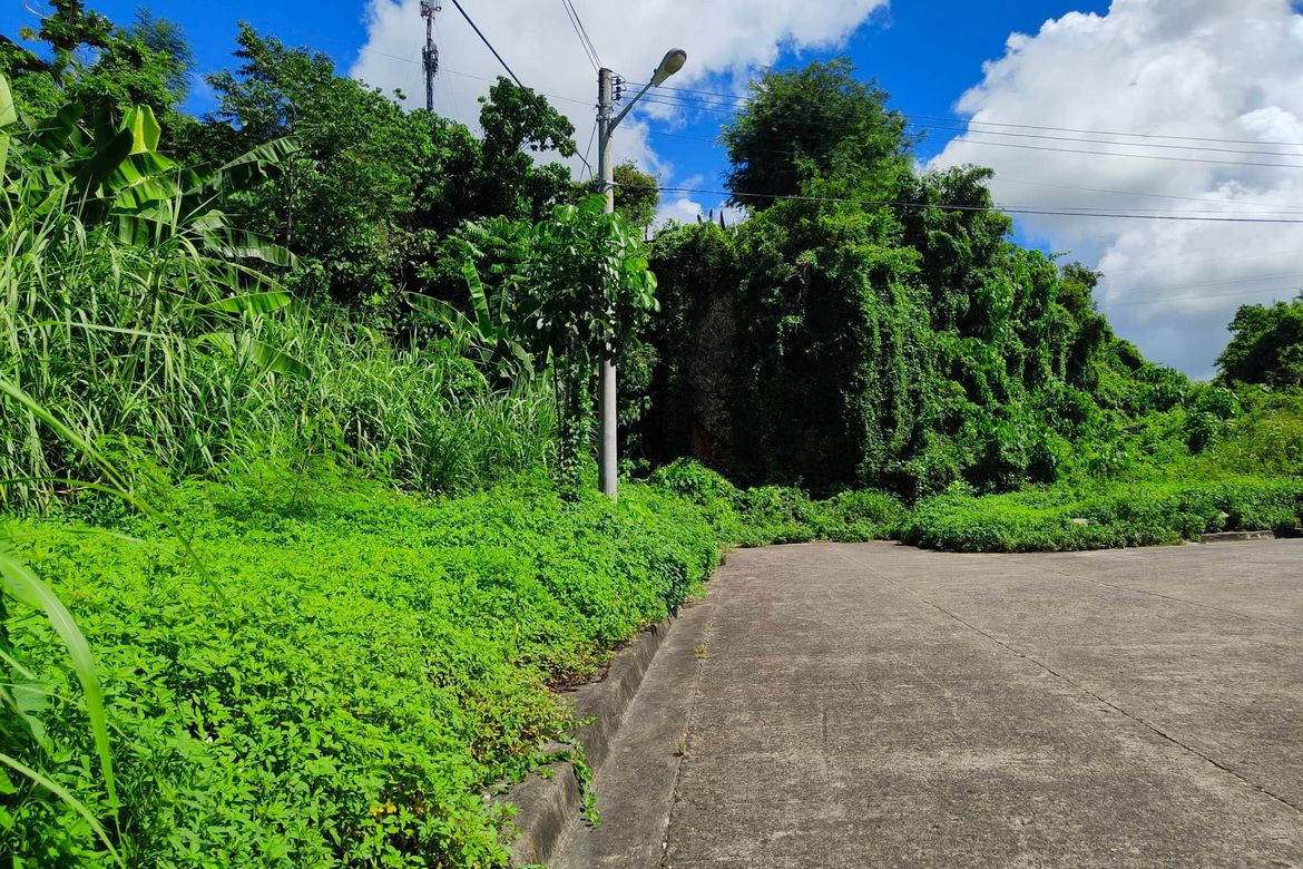 Land for Sale in Lamac, Consolacion, Cebu – photo 8