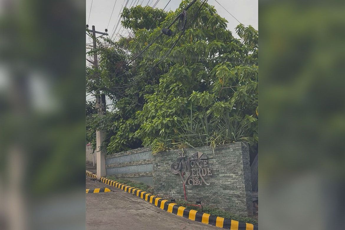 Land for Sale in Lamac, Consolacion, Cebu – photo 3
