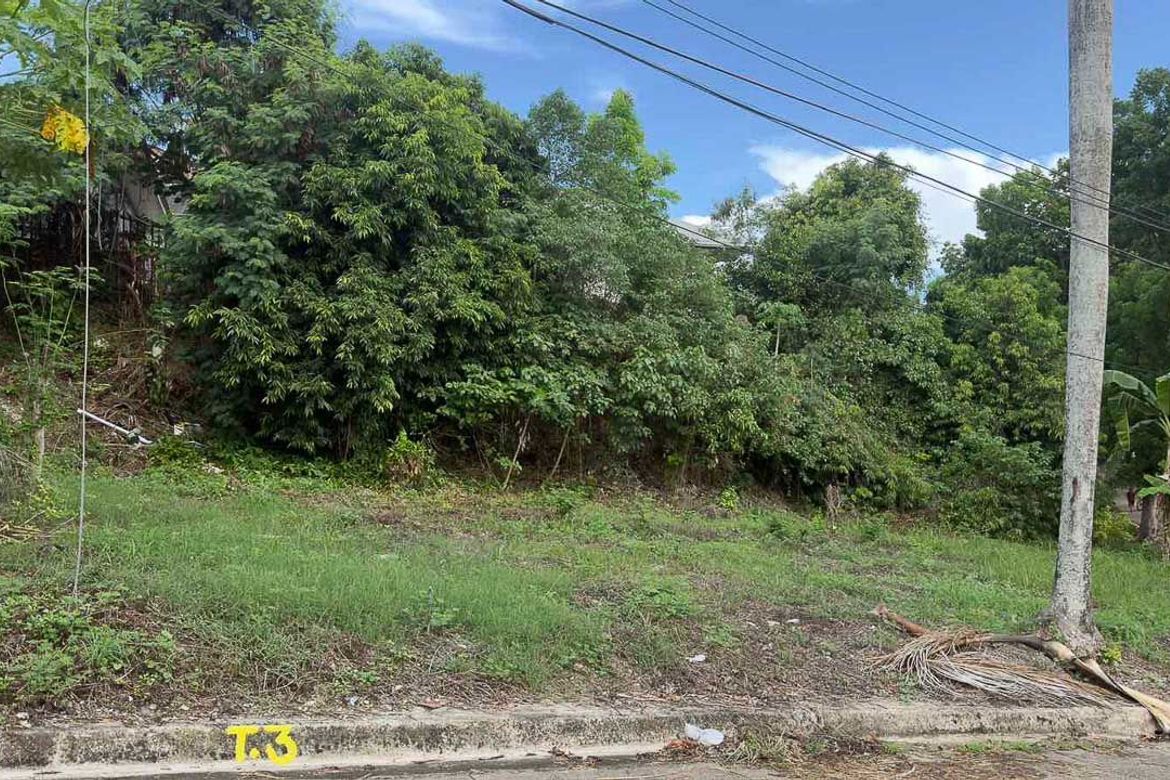 Land for Sale in Lamac, Consolacion, Cebu – photo 5