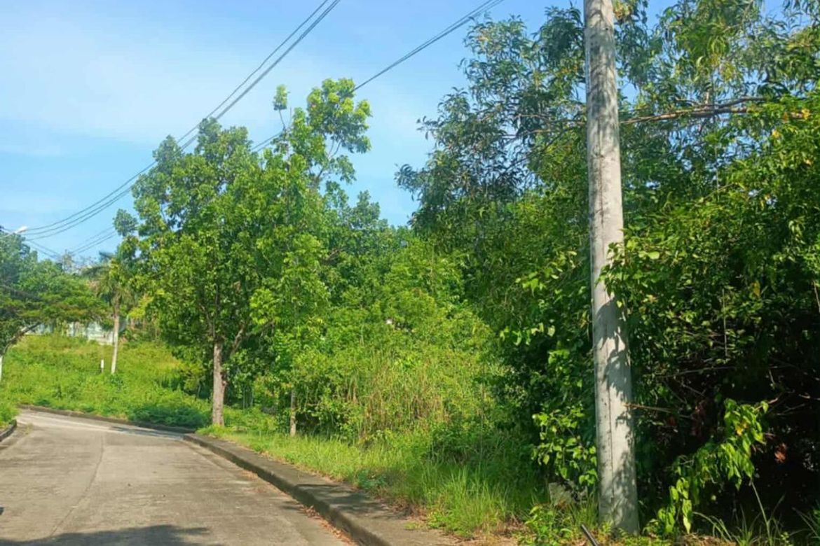 Land for Sale in Lamac, Consolacion, Cebu