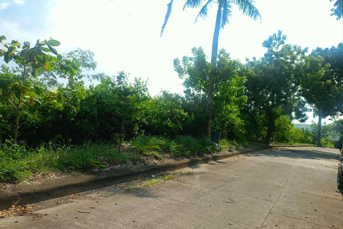 Land for Sale in Lamac, Consolacion, Cebu – photo 4