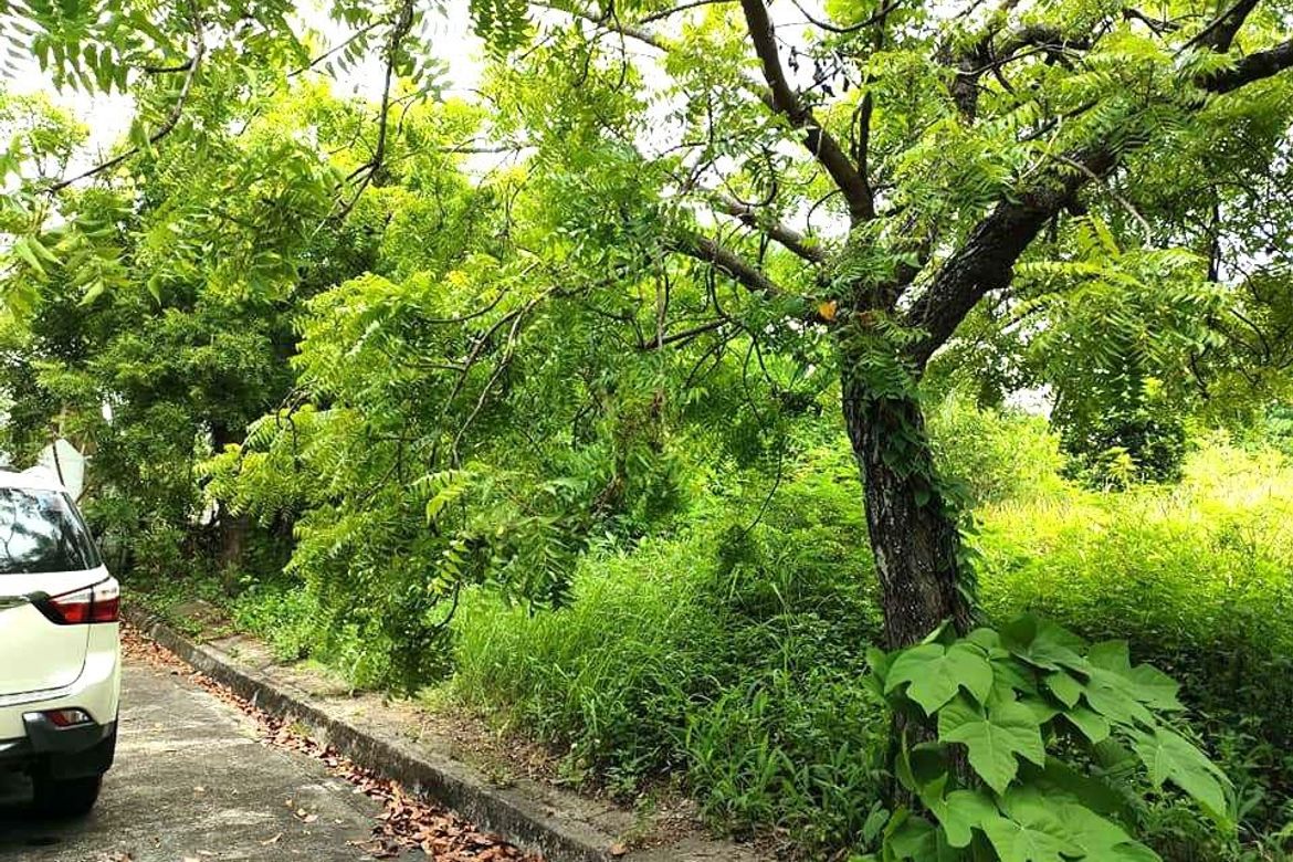 Land for Sale in Lamac, Consolacion, Cebu – photo 2
