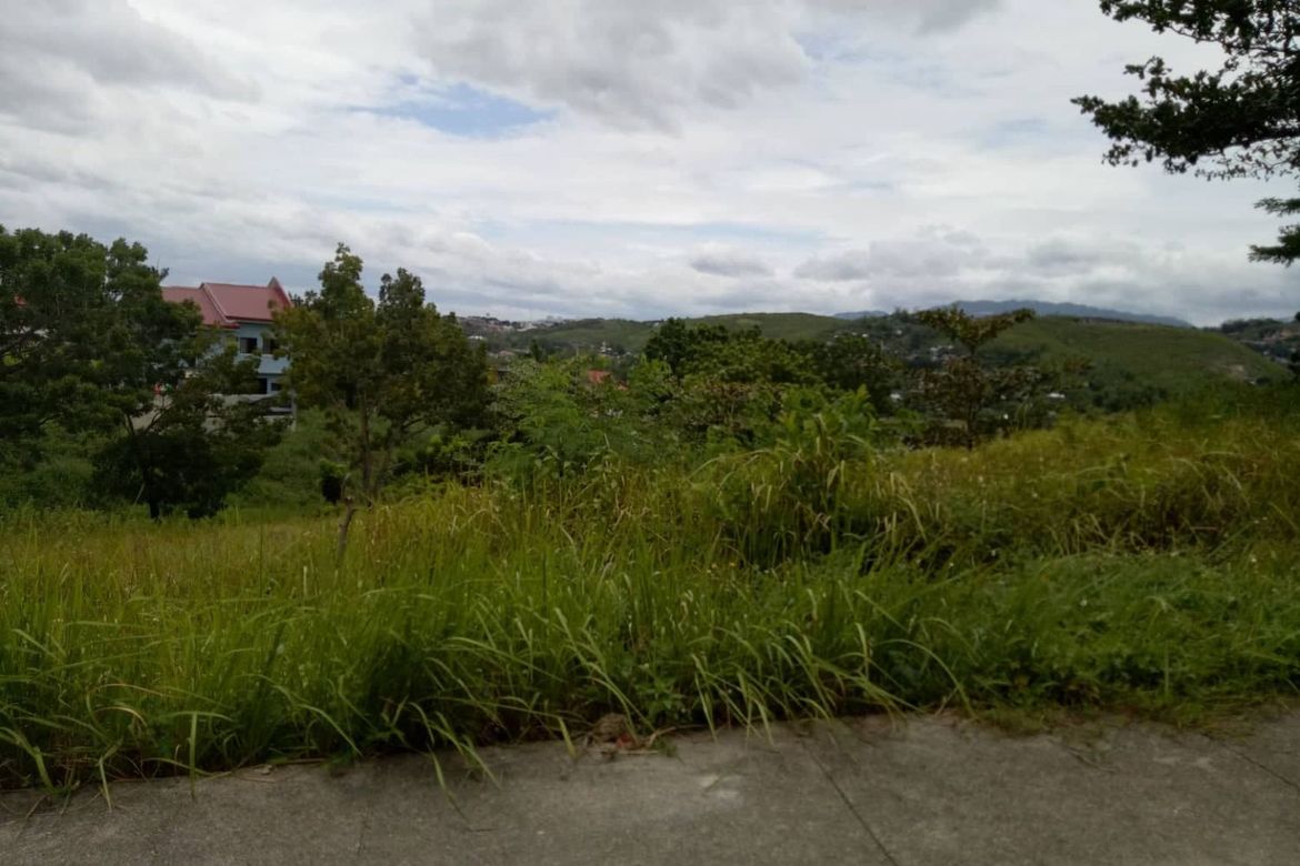 Land for Sale in Lamac, Consolacion, Cebu – photo 6