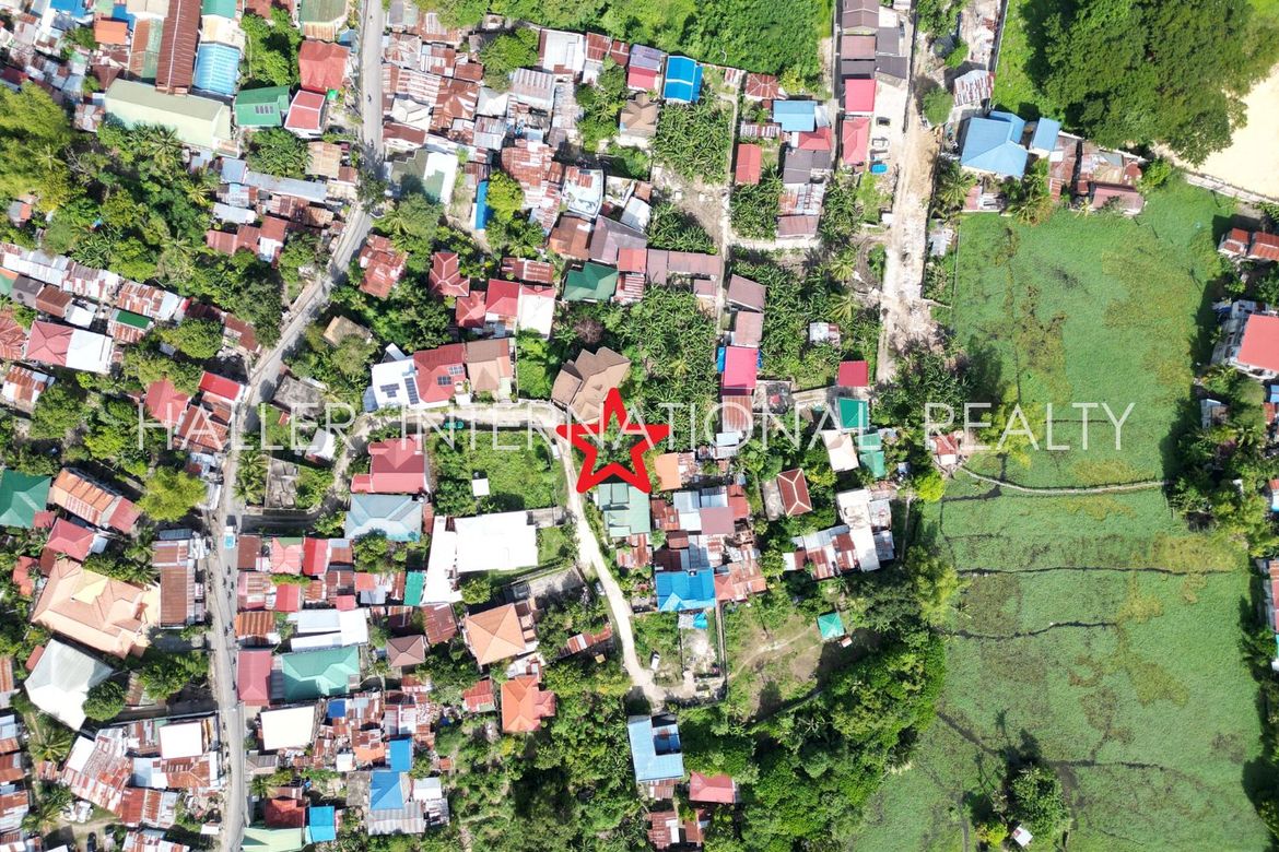 Land for Sale in Lamac, Consolacion, Cebu – photo 2
