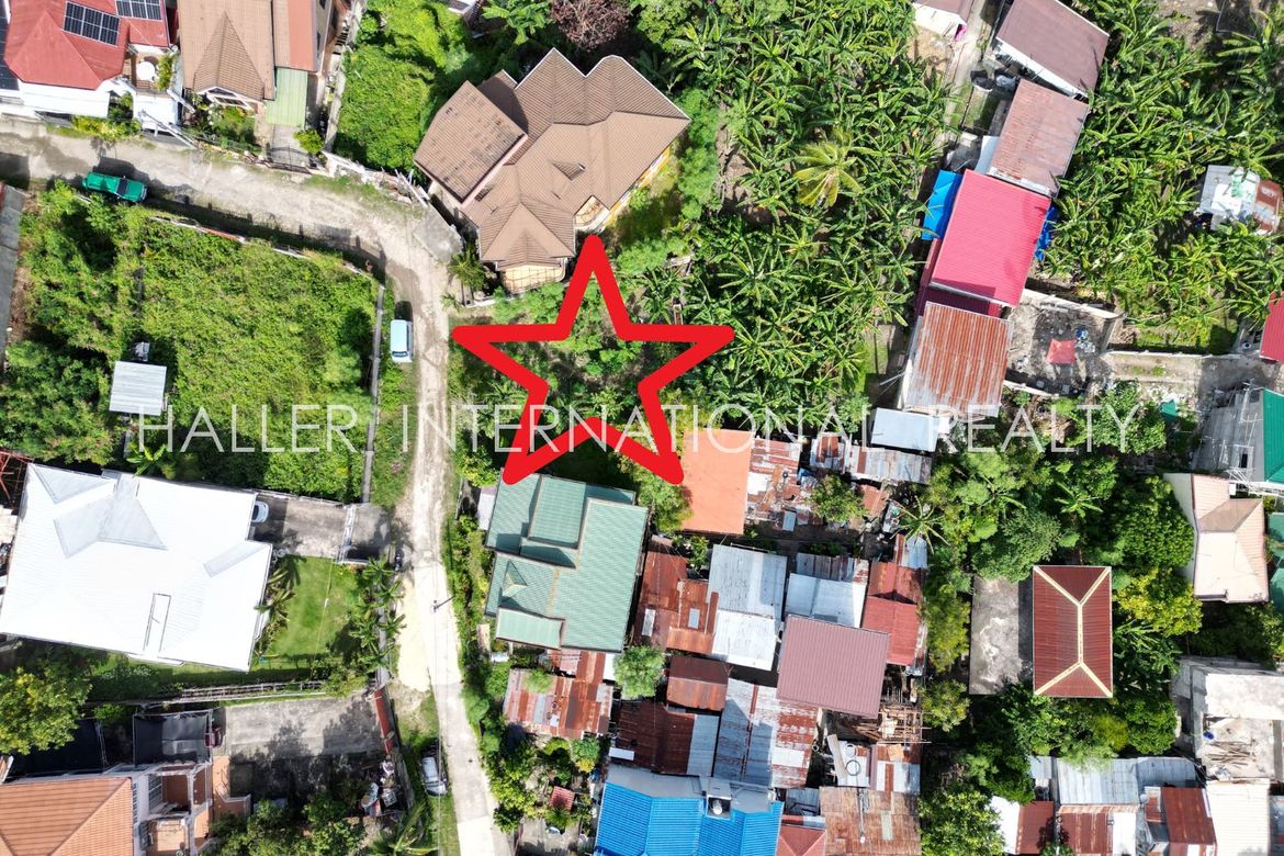 Land for Sale in Lamac, Consolacion, Cebu – photo 3